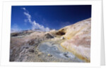 Volcanic area of Sol de Manana, Bolivian Desert, Bolivia by Anonymous