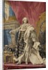 Tapestry of King Louis XV by Pierre François Cozette