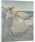 Summer Sunlight (Isles of Shoals) by Childe Hassam