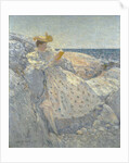 Summer Sunlight (Isles of Shoals) by Childe Hassam