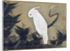 White Cockatoo on a Pine Branch by Ito Jakuchu