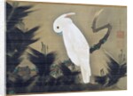 White Cockatoo on a Pine Branch by Ito Jakuchu