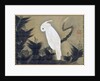 White Cockatoo on a Pine Branch by Ito Jakuchu