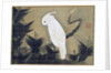 White Cockatoo on a Pine Branch by Ito Jakuchu
