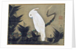White Cockatoo on a Pine Branch by Ito Jakuchu