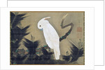 White Cockatoo on a Pine Branch by Ito Jakuchu