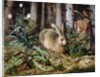A Hare in the Forest by Hans Hoffmann