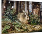 A Hare in the Forest by Hans Hoffmann