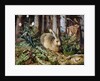 A Hare in the Forest by Hans Hoffmann