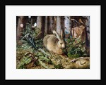 A Hare in the Forest by Hans Hoffmann
