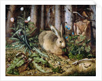 A Hare in the Forest by Hans Hoffmann