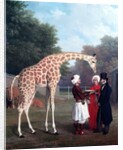 Nubian Giraffe by Jacques-Laurent Agasse