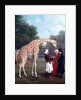 Nubian Giraffe by Jacques-Laurent Agasse