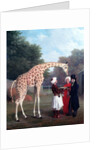 Nubian Giraffe by Jacques-Laurent Agasse