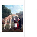 Nubian Giraffe by Jacques-Laurent Agasse