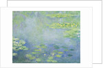 Waterlilies by Claude Monet