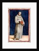 Saint Francis of Assisi by Raphael