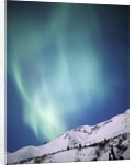 Aurora Borealis, Chugach State Park, Anchorage, Alaska by Anonymous