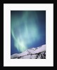 Aurora Borealis, Chugach State Park, Anchorage, Alaska by Anonymous