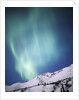 Aurora Borealis, Chugach State Park, Anchorage, Alaska by Anonymous