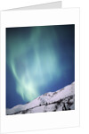 Aurora Borealis, Chugach State Park, Anchorage, Alaska by Anonymous