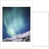 Aurora Borealis, Chugach State Park, Anchorage, Alaska by Anonymous
