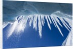 Icicles in Glacier Snow Cave, Antarctic Peninsula by Anonymous