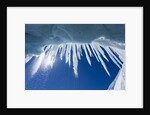 Icicles in Glacier Snow Cave, Antarctic Peninsula by Anonymous