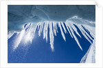 Icicles in Glacier Snow Cave, Antarctic Peninsula by Anonymous