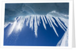 Icicles in Glacier Snow Cave, Antarctic Peninsula by Anonymous