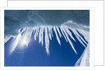 Icicles in Glacier Snow Cave, Antarctic Peninsula by Anonymous