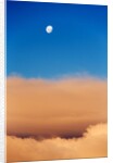 Moon and Livingstone Island, Antarctica by Anonymous