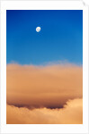 Moon and Livingstone Island, Antarctica by Anonymous