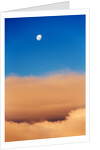 Moon and Livingstone Island, Antarctica by Anonymous