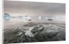 Leopard Seal Hunting, Antarctica by Anonymous