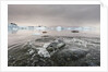 Leopard Seal Hunting, Antarctica by Anonymous