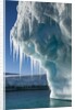 Iceberg, Petermann Island, Antarctica by Anonymous