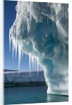 Iceberg, Petermann Island, Antarctica by Anonymous