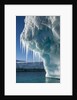 Iceberg, Petermann Island, Antarctica by Anonymous