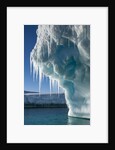 Iceberg, Petermann Island, Antarctica by Anonymous