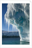 Iceberg, Petermann Island, Antarctica by Anonymous