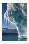 Iceberg, Petermann Island, Antarctica by Anonymous