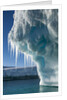 Iceberg, Petermann Island, Antarctica by Anonymous