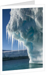 Iceberg, Petermann Island, Antarctica by Anonymous