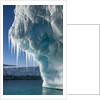 Iceberg, Petermann Island, Antarctica by Anonymous