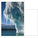 Iceberg, Petermann Island, Antarctica by Anonymous