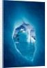 Iceberg, Antarctica by Anonymous