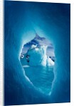 Iceberg, Antarctica by Anonymous