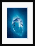Iceberg, Antarctica by Anonymous