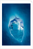 Iceberg, Antarctica by Anonymous